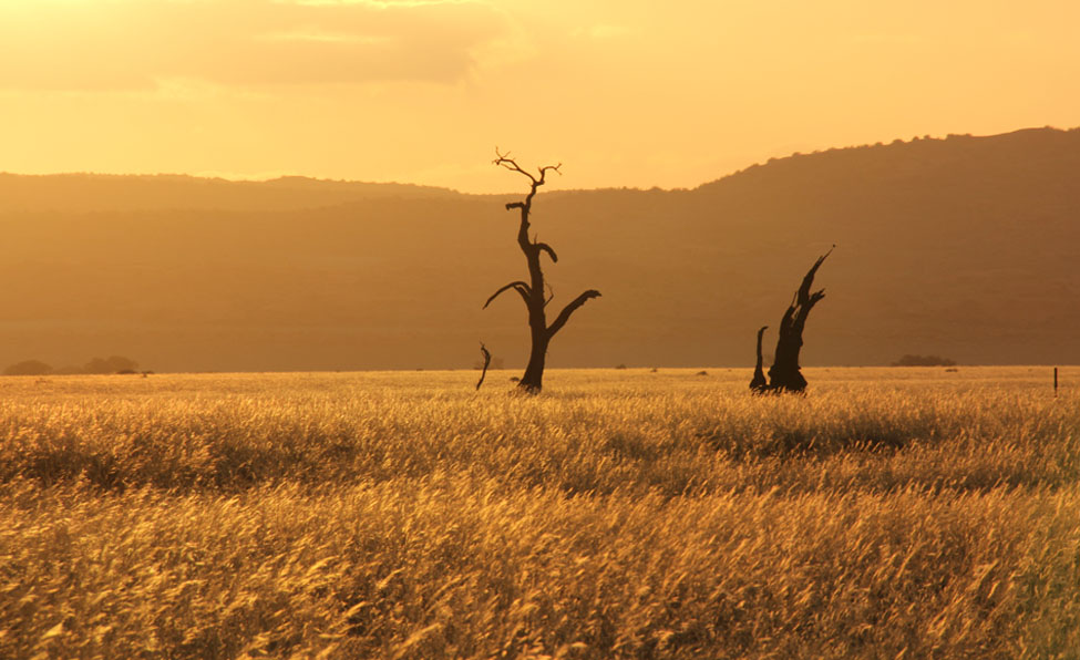 Namibia 033