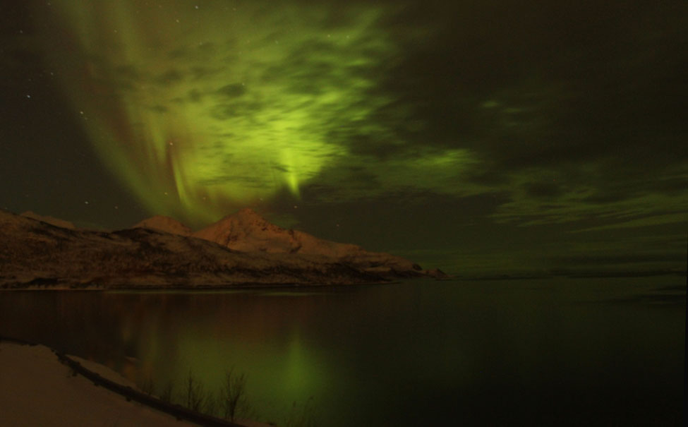 Northern Lights Near Tromso374
