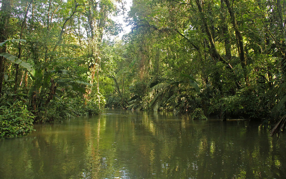 Tortuguera Costa Rica_7423