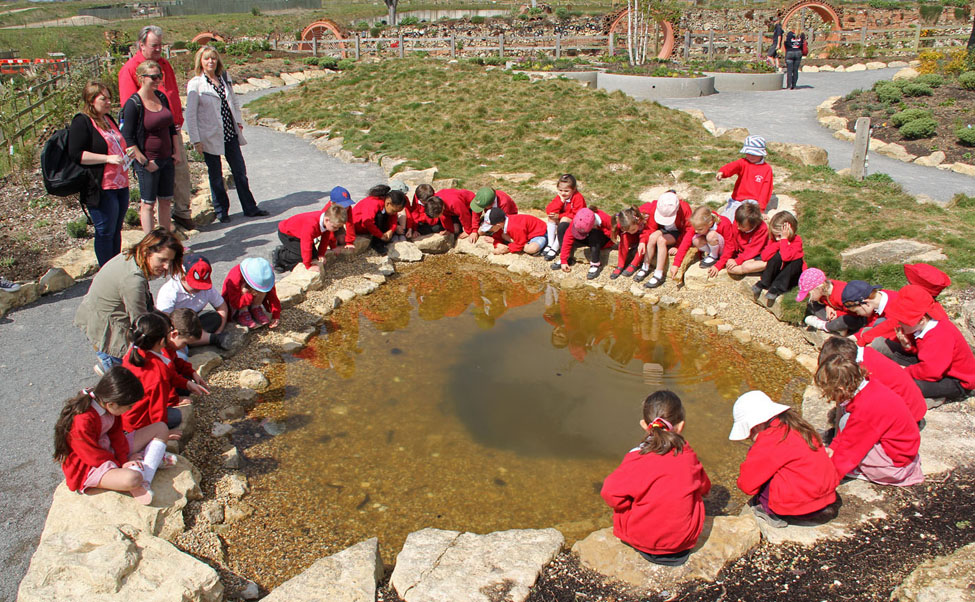 7. Children exploring the British Butterfly garden  _3026